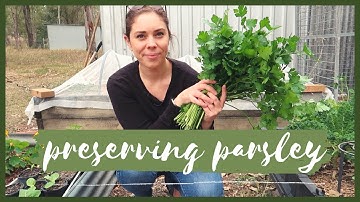 How to Preserve Parsley | Easy Method to Freezing Fresh Herbs
