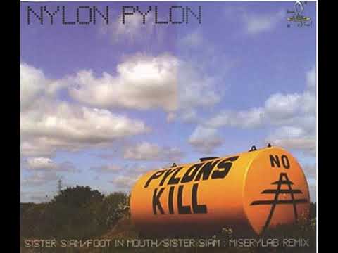 Nylon Pylon — Nylon Pylon - Pushin'
