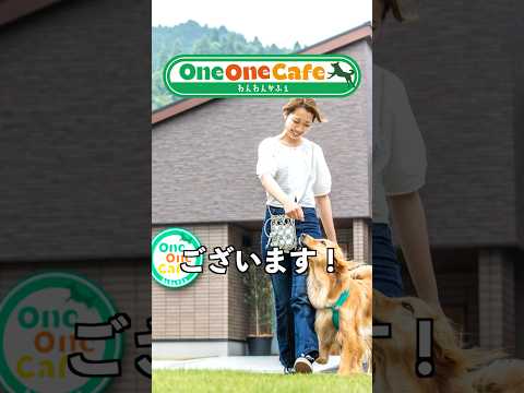 【質問にお答えシリーズだワン♪その12】#わんこあん #わんこ旅 #犬と泊まれる宿