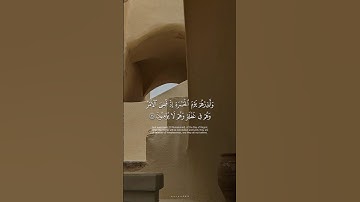 #سورة_مريم القارئ علي ال عسكر