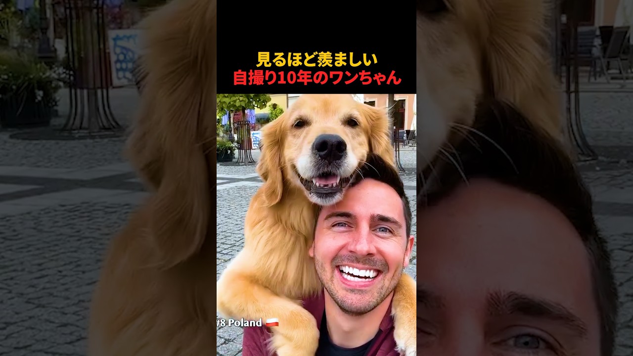 見るほど羨ましい自撮り10年のワンちゃん