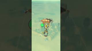 The best way to get to Gerudo Town 😂 -Botw