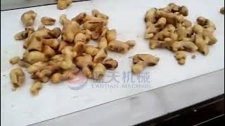 China vegetable washer machine,carrot washer machine ,fruit washer machine manufacturer