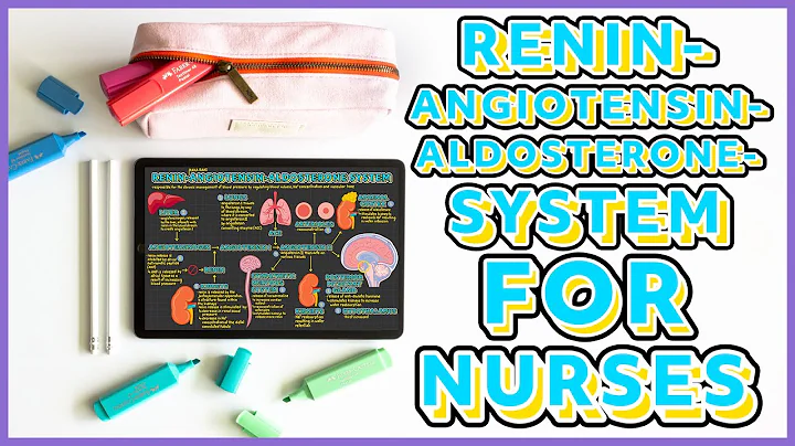 Renin Angiotensin Aldosterone System (RAAS) | Everything You Need to Know