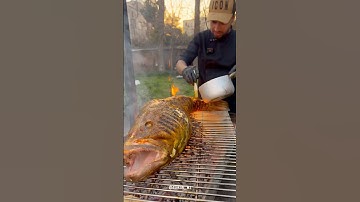 Spesial Selatan: Resep ikan kerapu berminyak dengan nasi 🐟🐬🍚🔥 #shorts #makanan #ikan #makananlaut