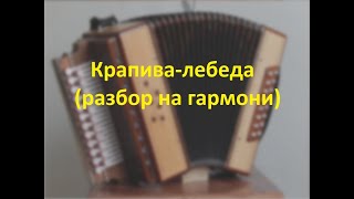 Крапива-лебеда(разбор на гармони)