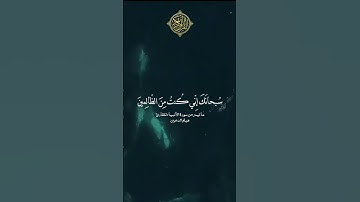 ما تيسر من سورة الأنبياء للقارئ هيثم الدخين ( حالات واتس اب وانستقرام وسناب شات )