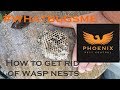 How to Get Rid of Wasp Nests