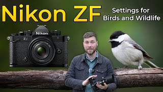 Nikon ZF  Settings for Wildlife and Bird Photography