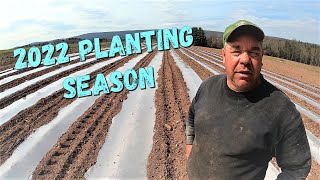 Is this planting method CHEATING?