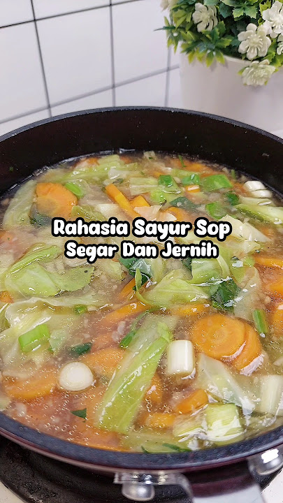 Nyesel Baru Tau  5 Tips Untuk Membuat Sayur Sop Yang Segar Dan Berkuah Bening