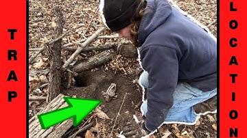 How To Make a Flat Set for Coyote Trapping / Fox Trapping - EPISODE 2 (REMAKE)