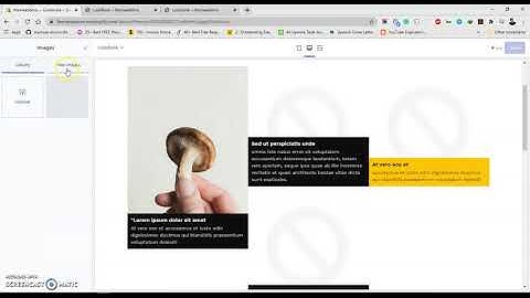 Adding Lookbook on Shopify Site