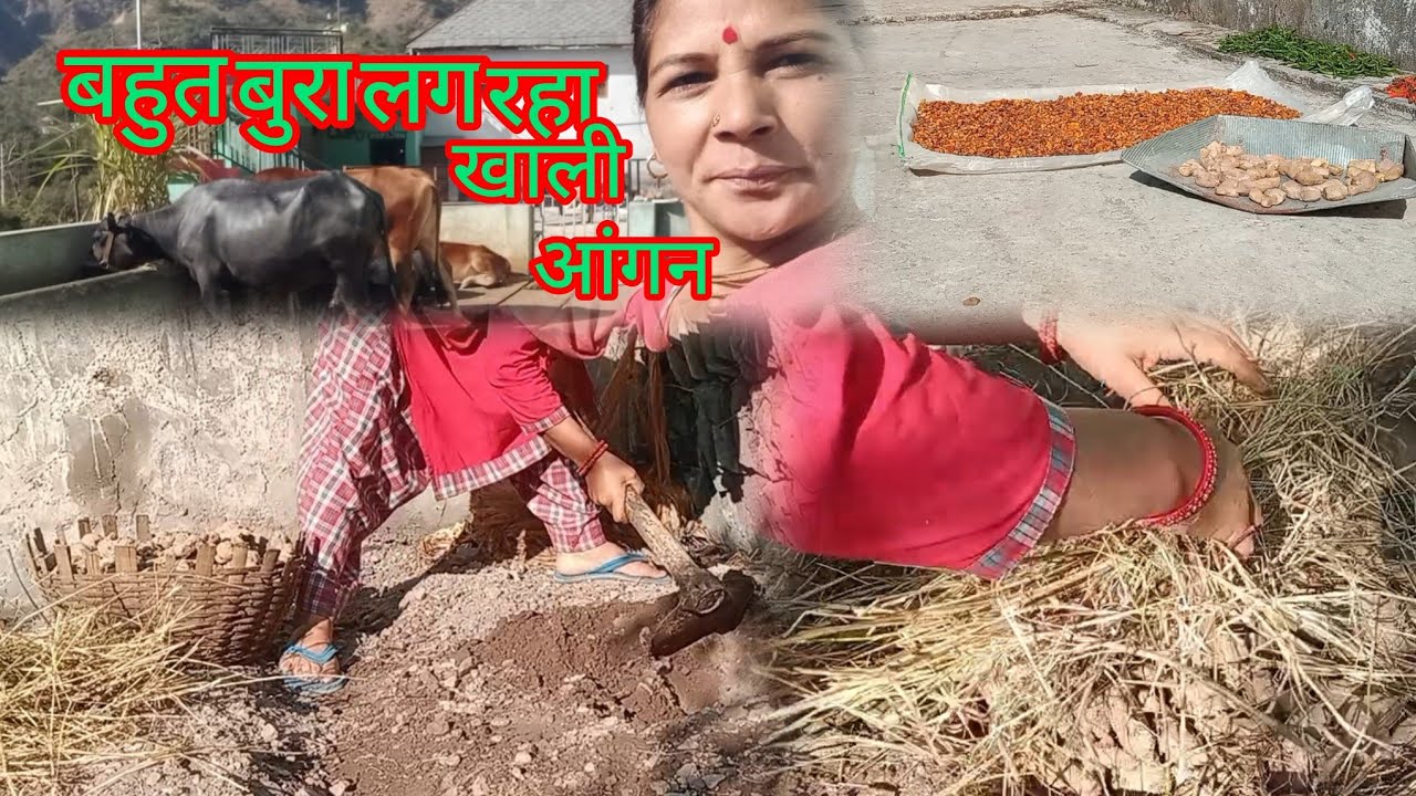 आपके कहने पर बनाया आज ब्लॉग स्पेशल पुराने बीज का👍🙏🏻 