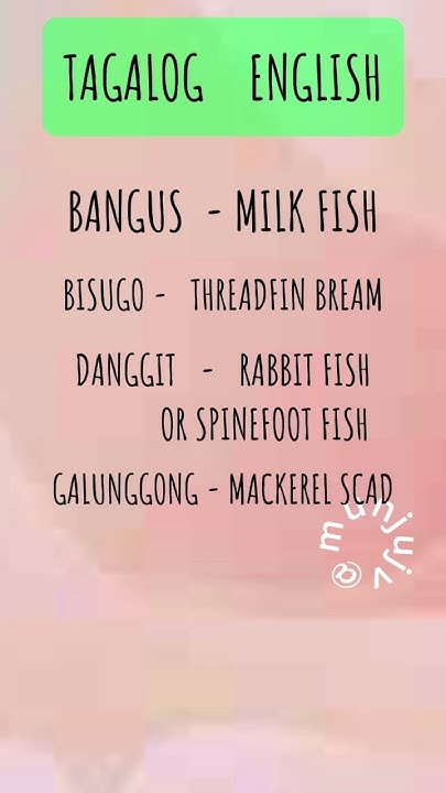 what-fish-is-called-st-peter-s-fish-shorts-learnenglish-learn