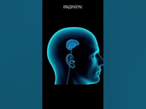 КВД КРИНЖ - YouTube