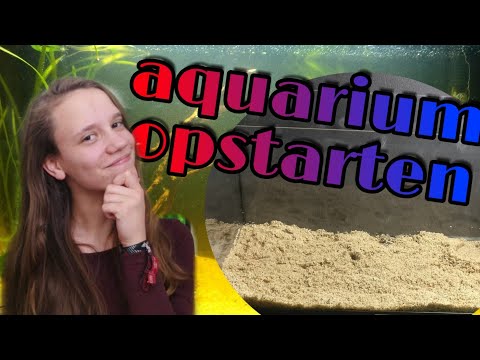 Video: Hoe Een Aquarium Correct In Te Richten?