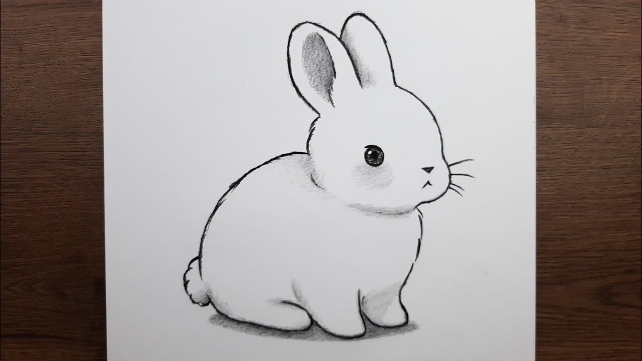 Çok kolay tavşan resmi çizimi, Adım adım kolay hayvan çizimleri