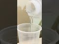 Como criar joias botânicas? 6 etapas para criar suas primeiras peças com resina e plantas!