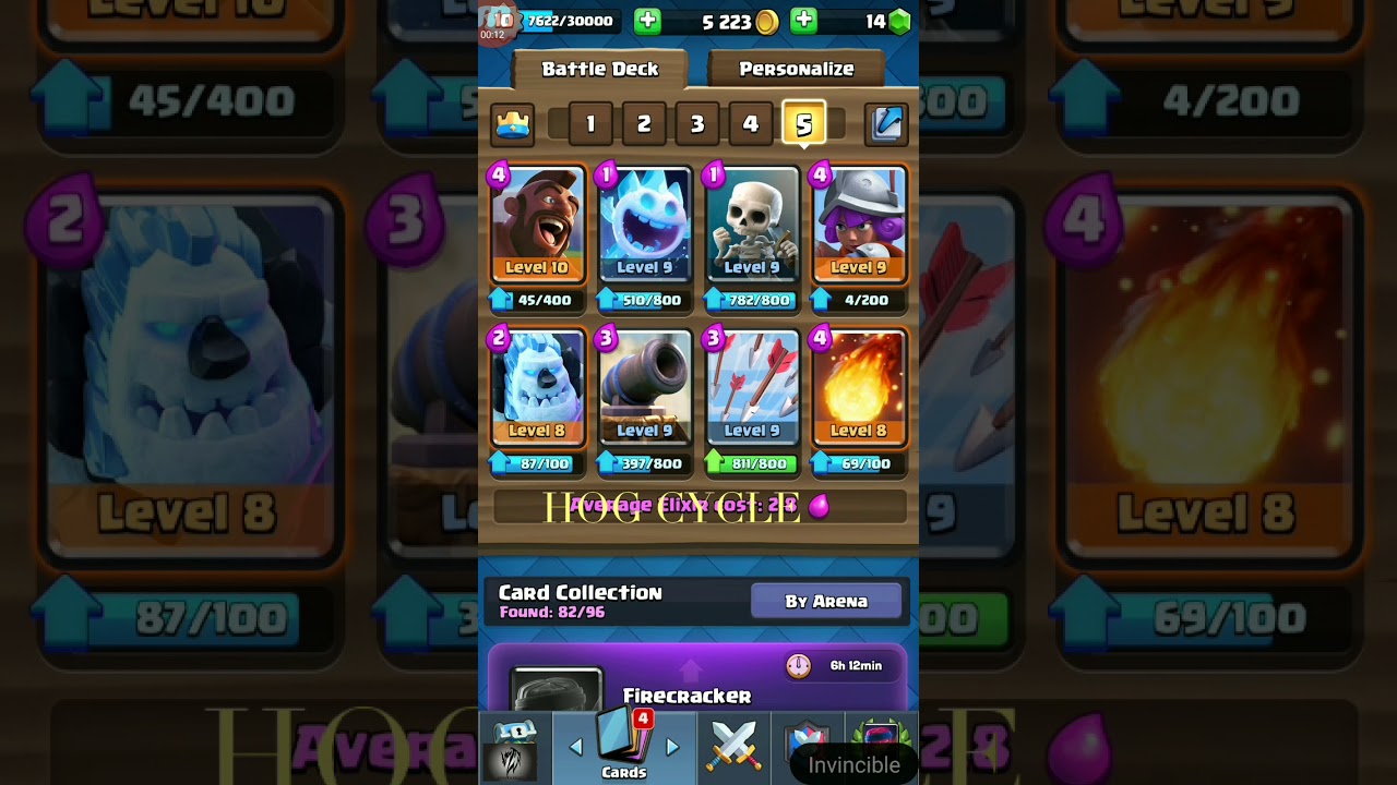 2.6 Hog cycle - YouTube