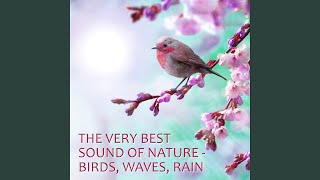 Winter Morning Sound With Wind Chimes And Birds For Relaxation, Meditation And Sleeping screenshot 5