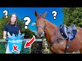 10 HORSE MYTHS & MISCONCEPTIONS! (people still believe these!)