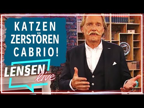 muss-mein-nachbar-für-den-katzen-schaden-zahlen?-|-lenßen-live-–-der-kultanwalt-am-telefon-|-sat.1