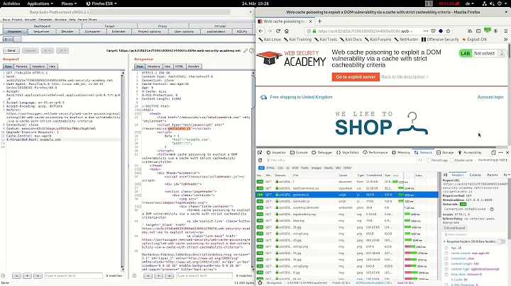 Web cache poisoning to exploit a DOM ... (Video solution)