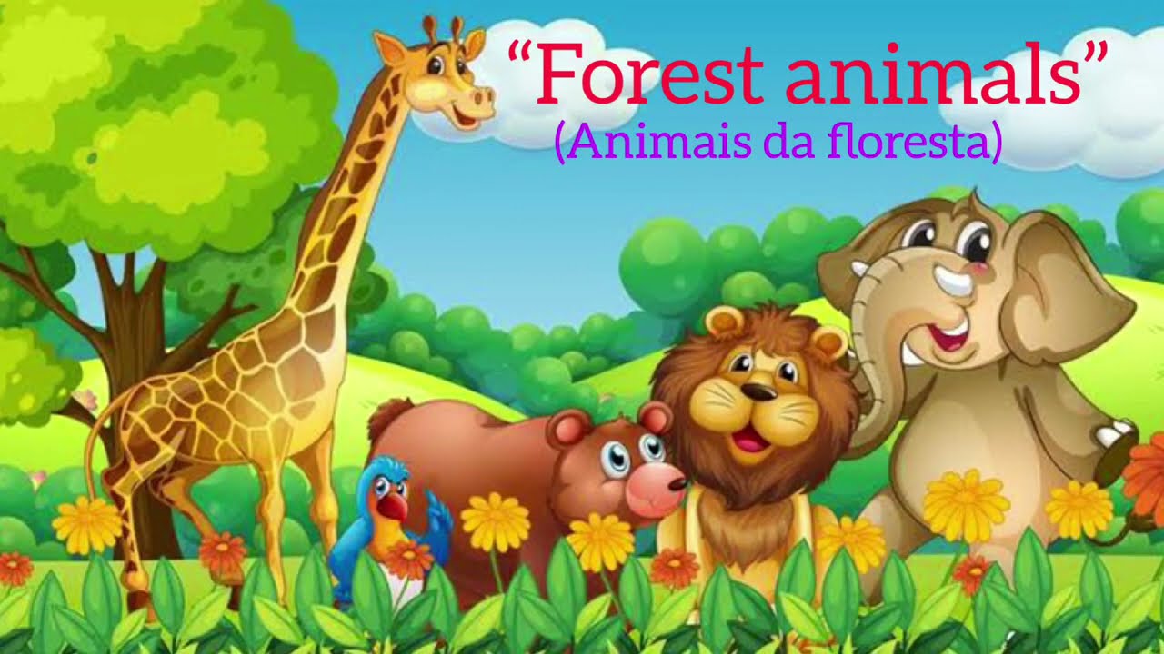 Story: Forest animals - História: Animais da floresta