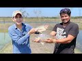 MOJARRA para zonas frías | ESTANQUES de tierra | Sembrando Mojarras | Acuicultura con pocos recursos