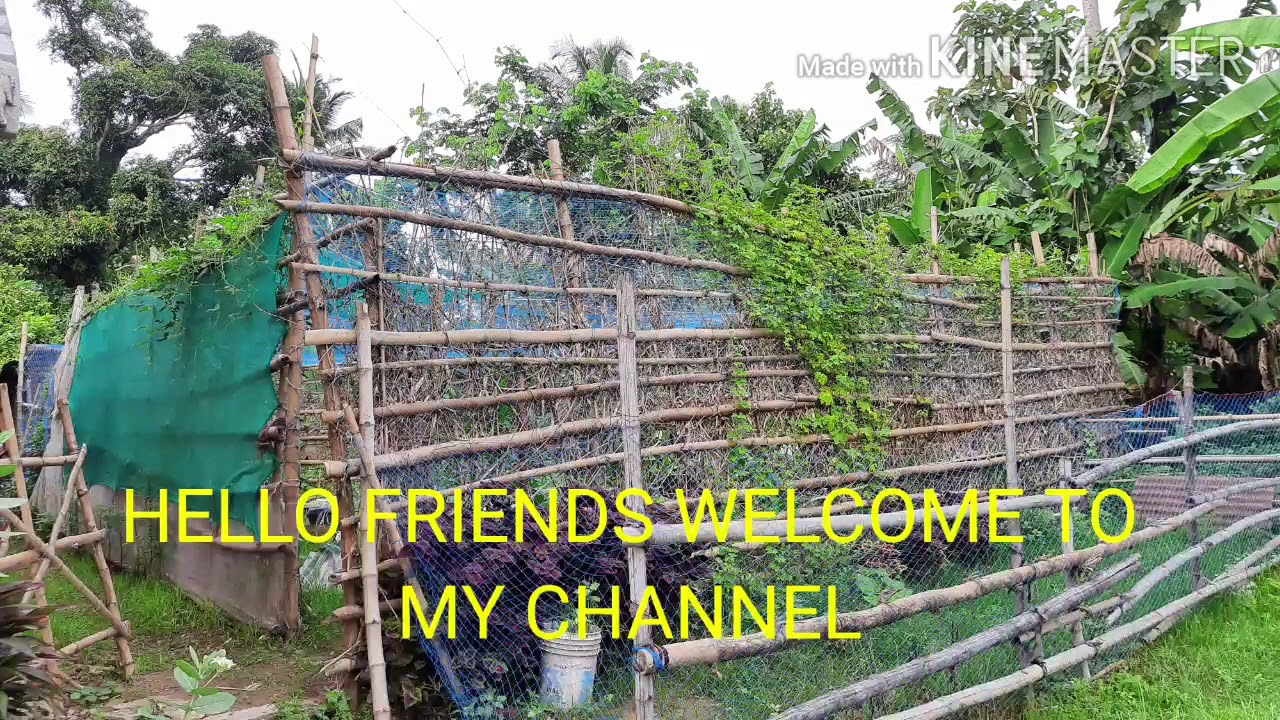 Backyard Garden (version 2.0) - YouTube