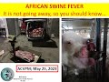 African swine fever it is not going away so you should know