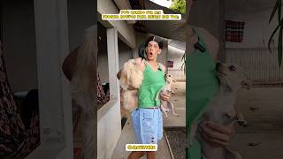 Quando Minha Mãe Procura Motivos Para Brigar Comigo João Vittor Gonçalves