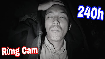 Toang RỒI!!! RỪNG CAM Đi Đễ Khó Về ? 240H Thật Thủ Săn Cá Lóc Rừng | SANG Vlog Về Nhà Thôi