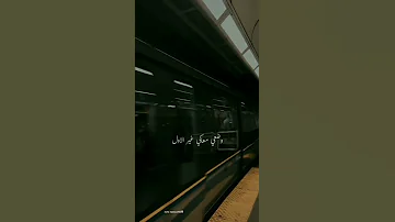 ولا عمري هخون روحي سيبي روحي لروحي تامر حسني حالات واتس اب ستوري انستا 