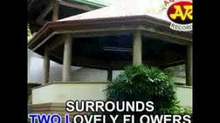 TWO LOVELY FLOWERS / EDDIE PEREGRINA / D. SUBIDO / E. NICHOLAS