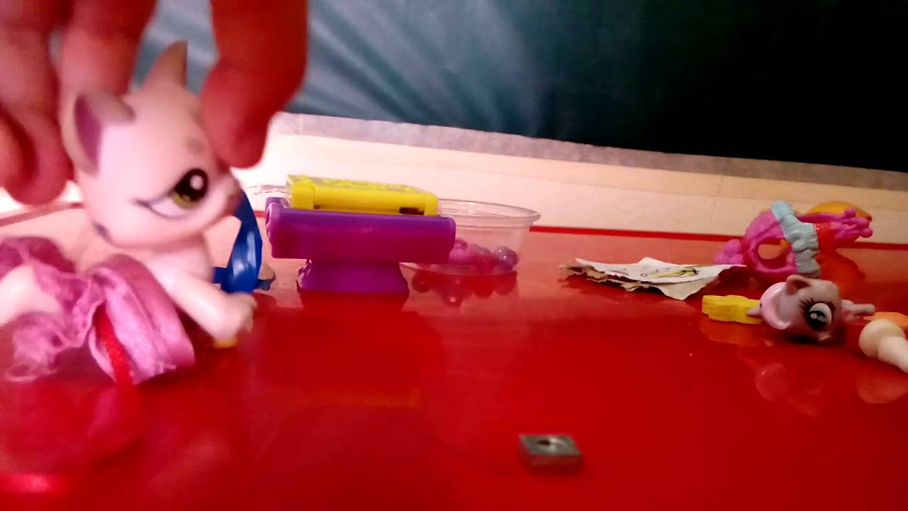 LITTLE PET SHOP YouTube