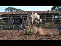Rodeio em touros | Treino na Cia. GRUPO PERA #1