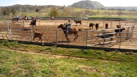 RSNC 1st Place Beginner Ranch Hand Division (Leigha Bailey & Jeff Peterson) March 14 2009