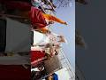 Wedding Reels | #weddingreels #couplereels #nepaliwedding