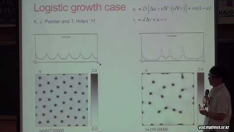 Pattern formation in chemotaxis-growth systems