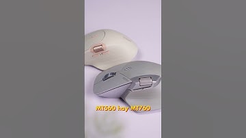 Con lăn ngang trên chuột có tác dụng gì?