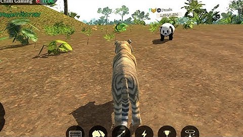 The Tiger | gameplay walkthrough part 8 | Red Chilli Gaming | Android iOS