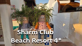 картинка: Большой обзор отеля Sharm Club Beach Resort, жаркий июль 2025