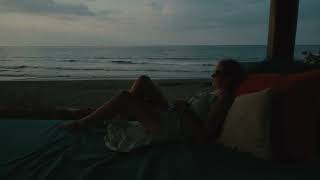 Islets, ocean, cat