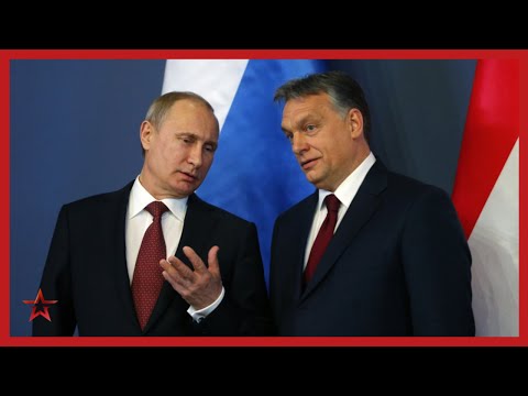 В Кремле состоялись переговоры Владимира Путина с премьер-министром Венгрии Виктором Орбаном