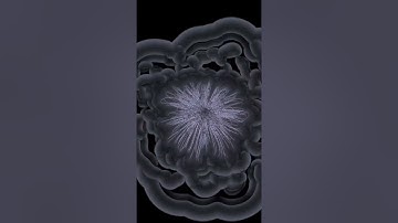 Iteration #1