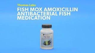 Fish Mox Forte – Amoxicillin 500 mg (100 Count)