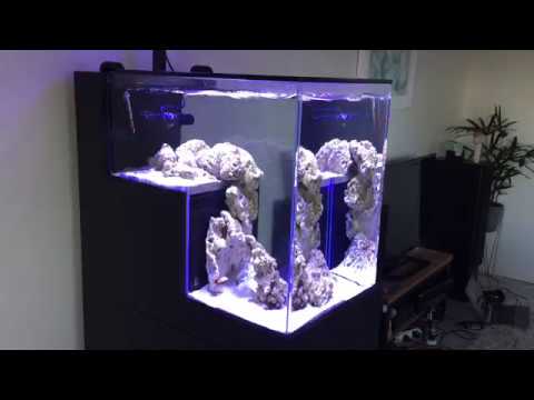 Peninsula drop-off tank -First fish! - YouTube