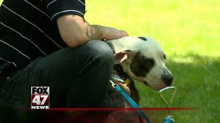 Marathon pet adoption fest starting Friday